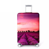 World Map Luggage Protector