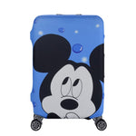 Luggage Protector