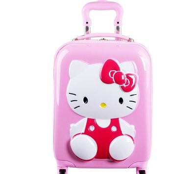 Trolley Case ABS Luggage
